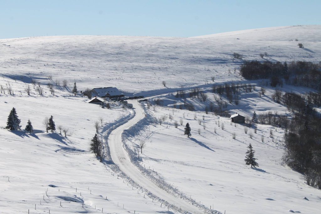 Noël dans les Vosges : vivez la magie - Les Hauts Jardins